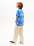 Multi Essential Flag Embroidery Regular Fit Polo  Boys