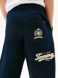 Blue Varsity Embroidery Regular Joggers  Boys
