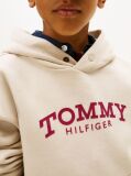Μπεζ Φλις Hoody Με Λογότυπο  Αγόρια