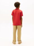 Red Graphic Polo Knit Polo Shirt  Boys