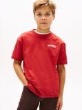 Red Textured Back Logo Jersey T-Shirt  Boys