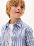 Blue Festive Regular Fit Stripe Oxford Shirt  Boys
