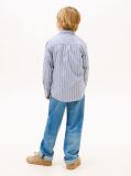 Blue Festive Regular Fit Stripe Oxford Shirt  Boys
