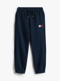 Blue Hilfiger Flag Regular Fit Joggers  Boys