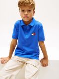 Blue Regular Fit Wavy Flag Polo Shirt  Boys