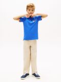 Blue Regular Fit Wavy Flag Polo Shirt  Boys