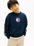 Blue Smiley Flag Back Logo Terry Sweatshirt  Boys