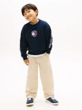 Blue Smiley Flag Back Logo Terry Sweatshirt  Boys