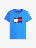 Blue Wavy Flag Jersey Crew Neck T-Shirt  Boys