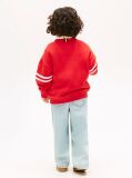 Red Wavy Flag Graphic Terry Sweatshirt  Boys