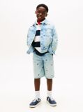 Blue Wavy Flag Embroidery Denim Trucker Jacket  Boys