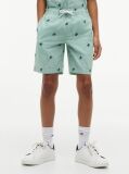 Green Ithaca Stripe Logo Embroidery Relaxed Shorts  Boys
