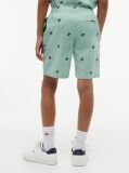 Green Ithaca Stripe Logo Embroidery Relaxed Shorts  Boys