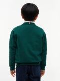 Green Logo Sueded Crew Neck Sweatshirt  Boys