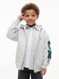 Grey Varsity Logo Appliqué Zip-Thru Hoody  Boys