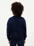 Blue Varsity Logo Sweatshirt  Boys