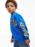Blue Varsity Logo Sweatshirt  Boys