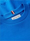 Blue Varsity Logo Sweatshirt  Boys