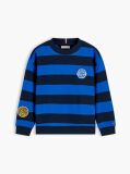 Multi Stripe Logo Badge Crew Neck Sweatshirt  Boys