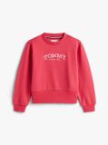 Pink Logo Embroidery Crew Neck Terry Sweatshirt  Girls