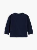 Blue Flag Embroidery Crew Neck Sweatshirt  Newborn