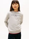 Γκρι Essential Φούτερ Με Λογότυπο  Παιδί Unisex