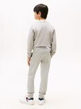 Γκρι Essential Παντελόνι Φόρμας  Παιδί Unisex