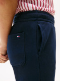 Blue Flag Embroidery Cuffed Joggers  Kids Unisex