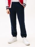 Blue Flag Embroidery Cuffed Joggers  Kids Unisex