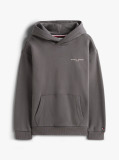Grey Logo Regular Fleece Hoody  Kids Unisex