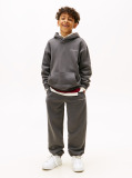 Grey Logo Regular Fleece Hoody  Kids Unisex