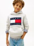 Γκρι Heritage Βαμβακερό Hoody Με Σημαία  Παιδί Unisex