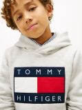 Γκρι Heritage Βαμβακερό Hoody Με Σημαία  Παιδί Unisex