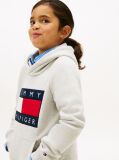 Γκρι Heritage Βαμβακερό Hoody Με Σημαία  Παιδί Unisex