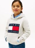 Γκρι Heritage Βαμβακερό Hoody Με Σημαία  Παιδί Unisex