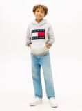 Γκρι Heritage Βαμβακερό Hoody Με Σημαία  Παιδί Unisex