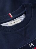 Blue Peanuts® Flag Graphic Embroidery Jumper  Kids Unisex
