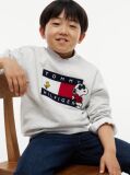 Grey Peanuts® Flag Graphic Embroidery Jumper  Kids Unisex