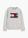 Grey Peanuts® Flag Graphic Embroidery Jumper  Kids Unisex