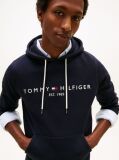 Blue Logo Flex Fleece Hoody  Men