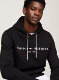 Black Logo Flex Fleece Hoody  Men