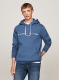 Blue Flex Logo Hoody  Men