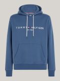 Blue Flex Logo Hoody  Men
