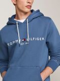 Blue Flex Logo Hoody  Men