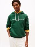 Green Flex Logo Hoody  Men