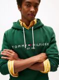 Green Flex Logo Hoody  Men