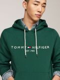 Πράσινο Flex Hoody Με Λογότυπο  Άνδρες