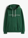 Green Flex Logo Hoody  Men