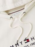 Μπεζ Flex Hoody Με Λογότυπο  Άνδρες