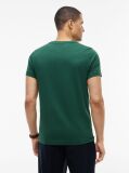 Πράσινο T-Shirt Απο Οργανικό Βαμβάκι  Άνδρες